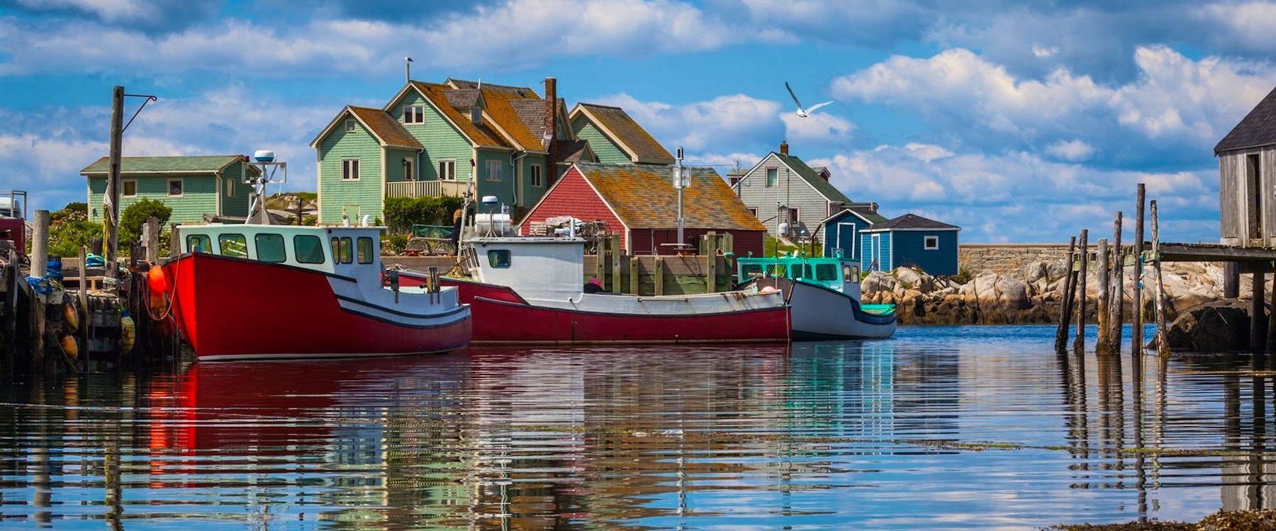 halifax and peggys cove tour