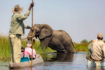 | Okavango Delta