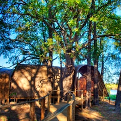 Maun – Johannesburg - London