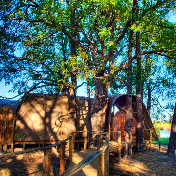 Maun – Johannesburg - London