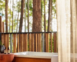 One&Only Gorilla’s Nest 6