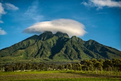 One&Only Gorilla’s Nest 8