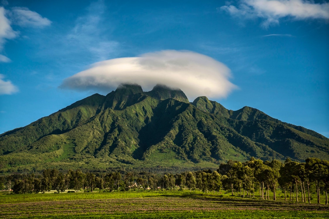 One&Only Gorilla’s Nest 8