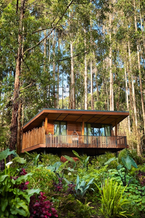 One&Only Gorilla’s Nest 9