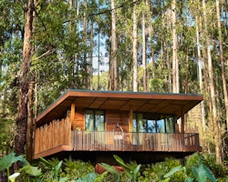 One&Only Gorilla’s Nest 9