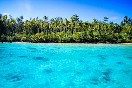 South Pacific Island-Hopping image 2