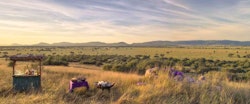 Picnic at &Beyond Grumeti Serengeti Tented Camp