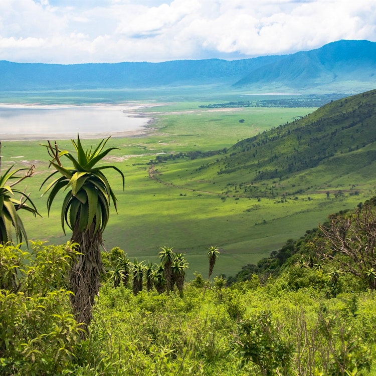 Lake Manyara National Park – Ngorongoro Crater