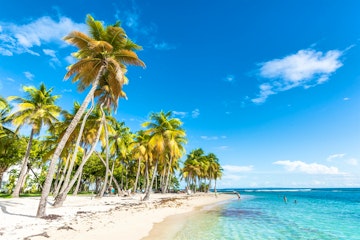 Caribbean adventures