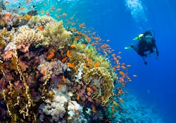scuba at yasawa island resort and spa fiji