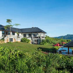 Camellia Hills 4