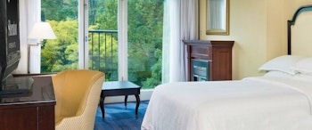 Sheraton on the Falls Hotel image 2