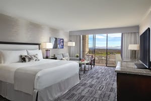 Skyline/Mountain View Room