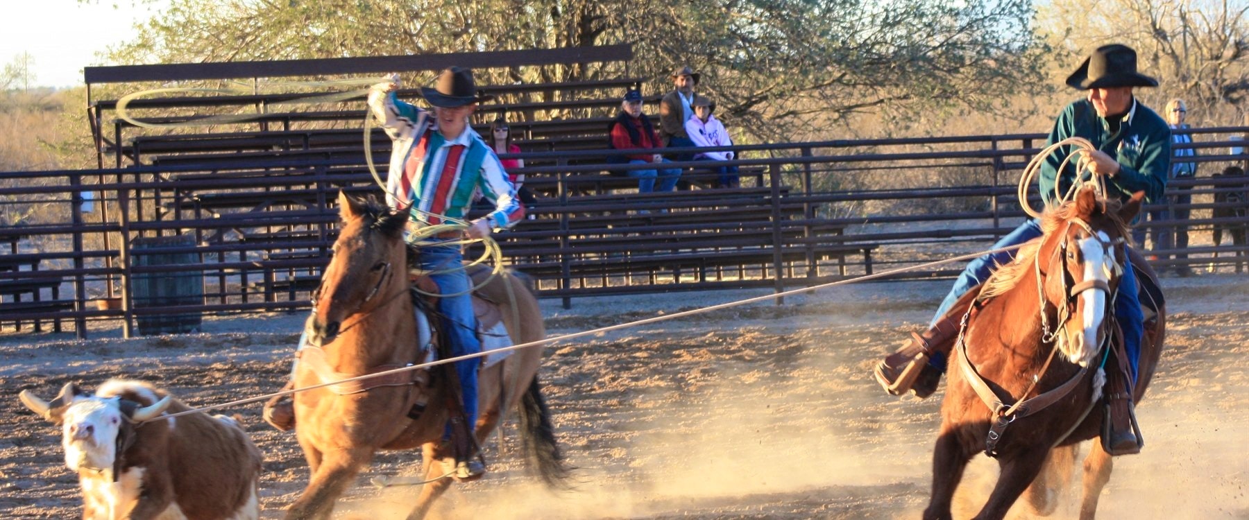 Rodeo At White Stallion Ranch, Arizona 