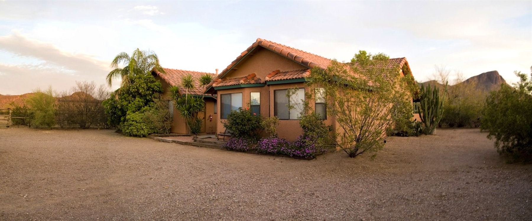 Room At White Stallion Ranch, Arizona 