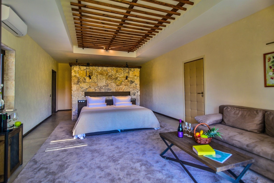 Junior Suite at Zornitza Family Estate