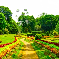 Royal Botanical Gardens