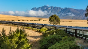 South Africa with Rovos Rail<place>Rovos Rail</place><fomo>275</fomo>