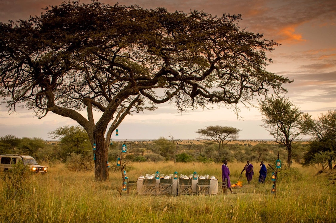 Four Seasons Serengeti, Serengeti National Park, Tanzania