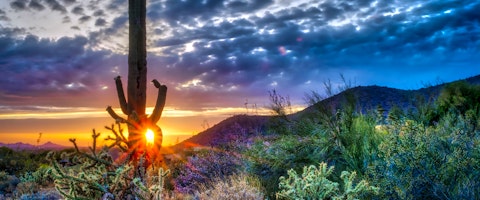 Scottsdale, Phoenix & Mesa