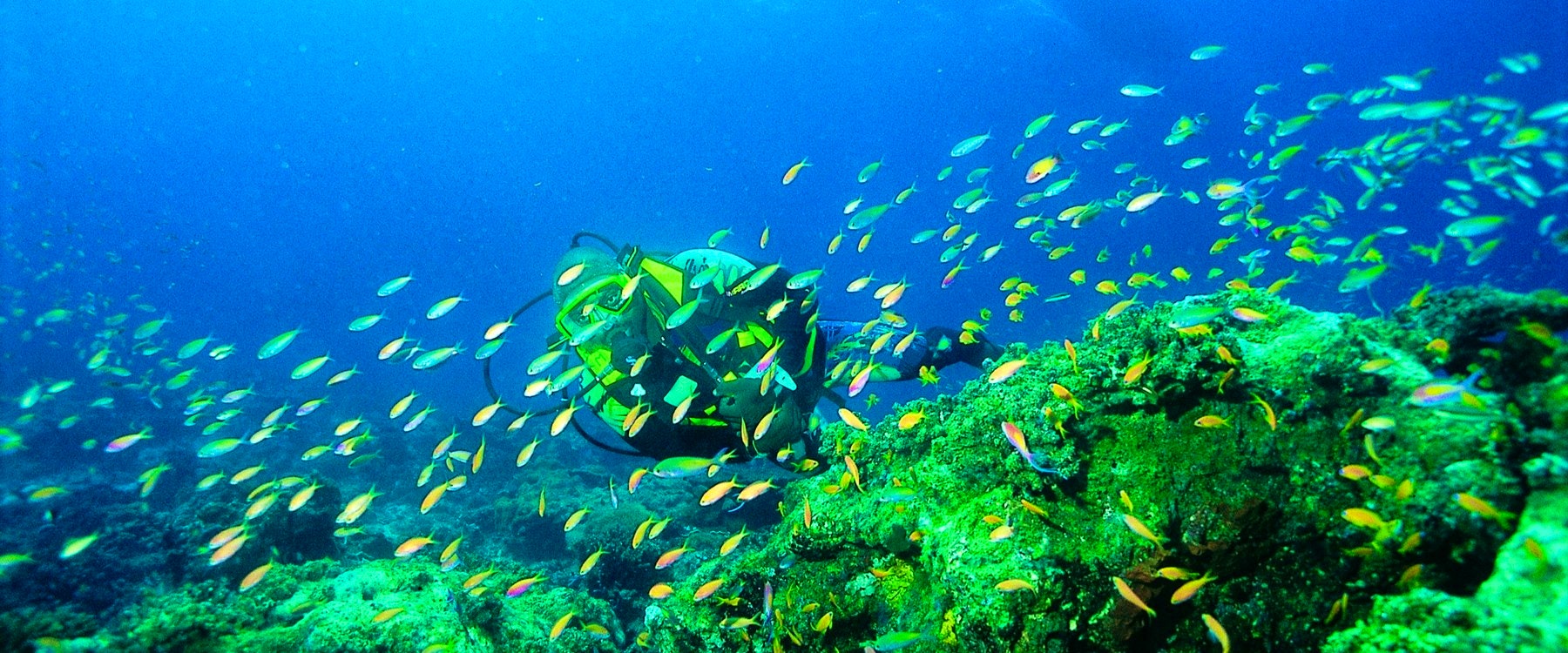 Scuba diving at Azura Quilalea