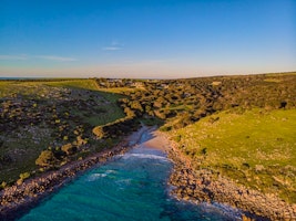 Sea Dragon Kangaroo Island image 1
