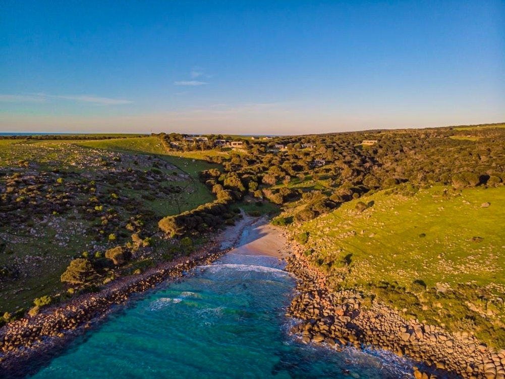 Sea Dragon Kangaroo Island