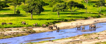 Serengeti National Park