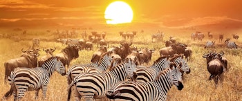 Natural Wonders of Tanzania With &Beyond image 1