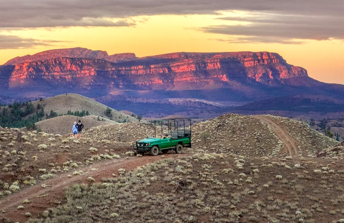 arkaba safari flinders ranges south australia