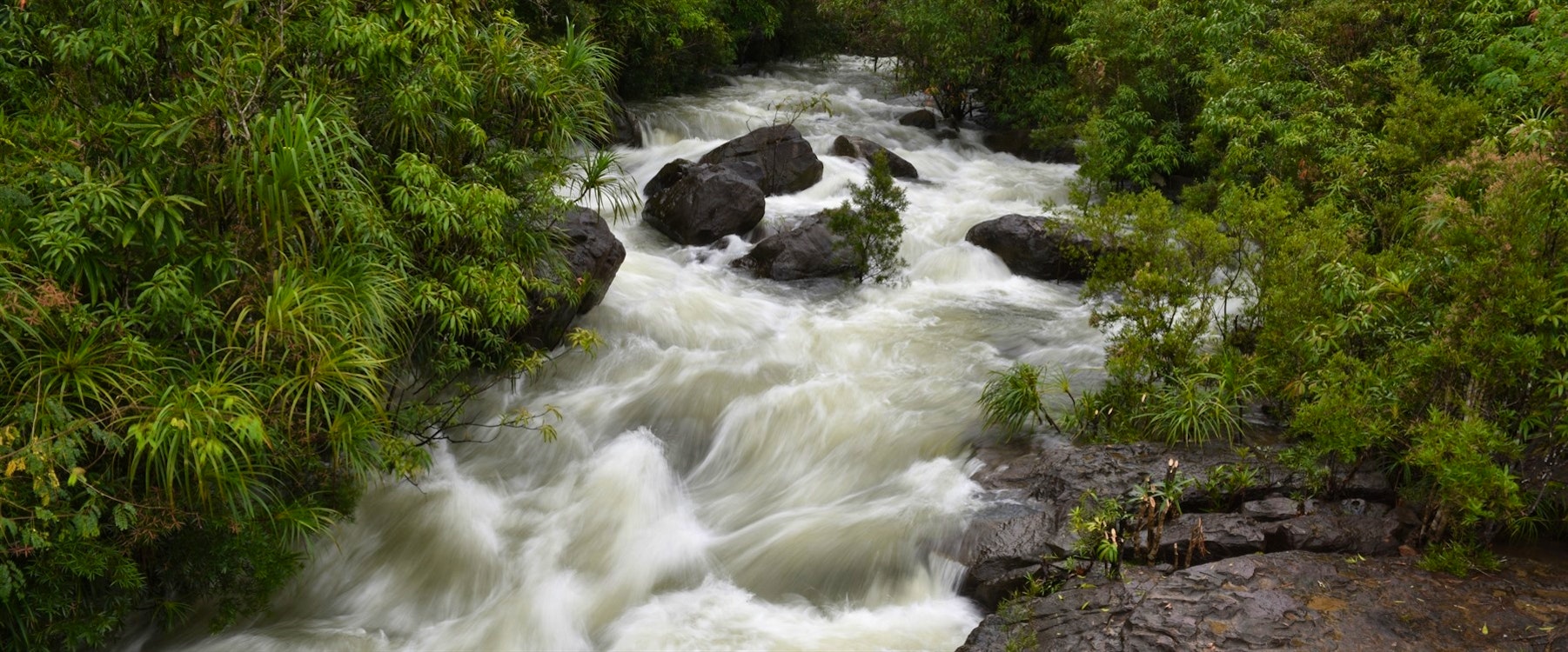 Shinta Mani Wild, Phnom Penh
