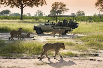 | Hwange National Park 