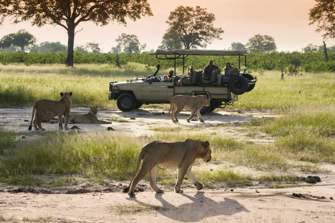 hwange national park safari game drive