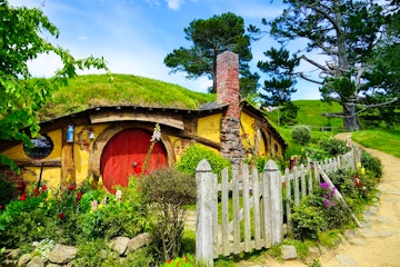 Auckland to Rotorua via Hobbiton 