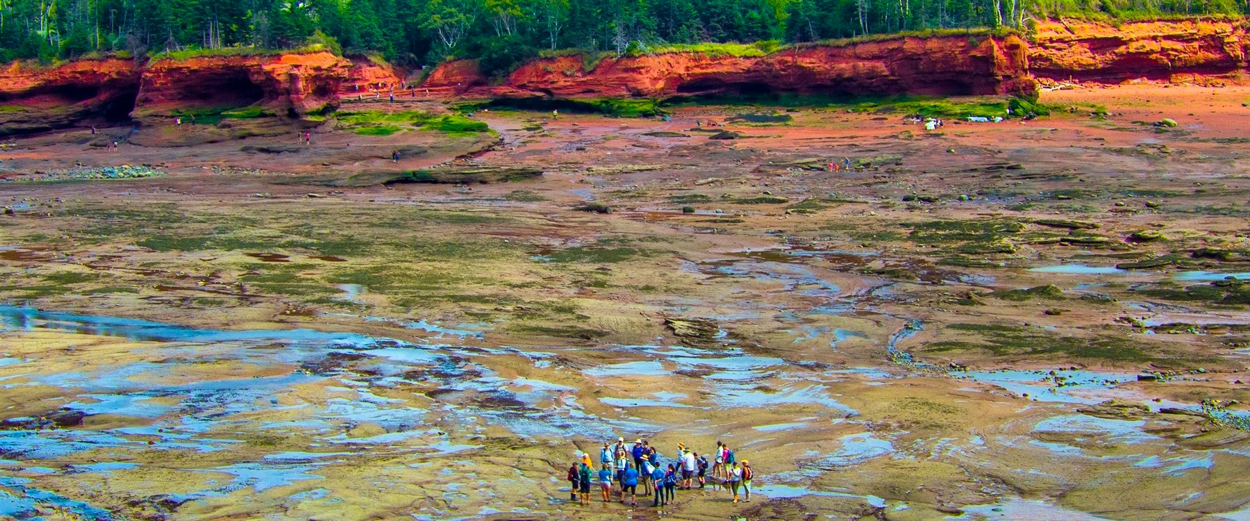 burntcoat head at low tide tourism nova scotia