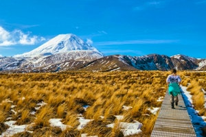Discover New Zealand’s North Island image 1