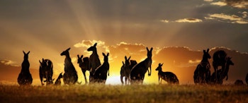 Grand Tour of Australia image 1