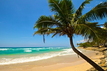 Sri Lanka Beach