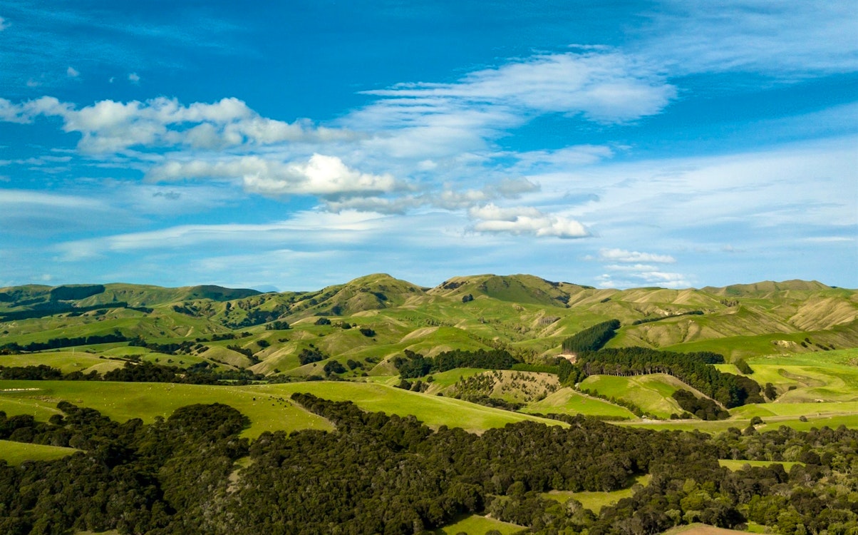 martinborough countryside new zealand