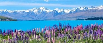 Christchurch to Ahuriri Valley (210 miles)