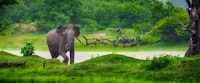 Sri Lanka National Parks