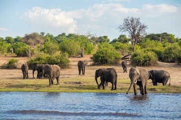 | Chobe River Cruise