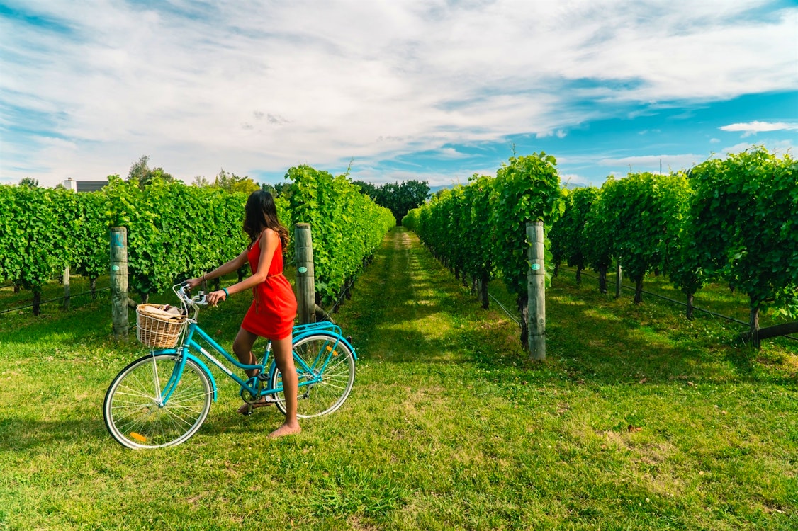 cycle tour of marlborough vineyards new zealand