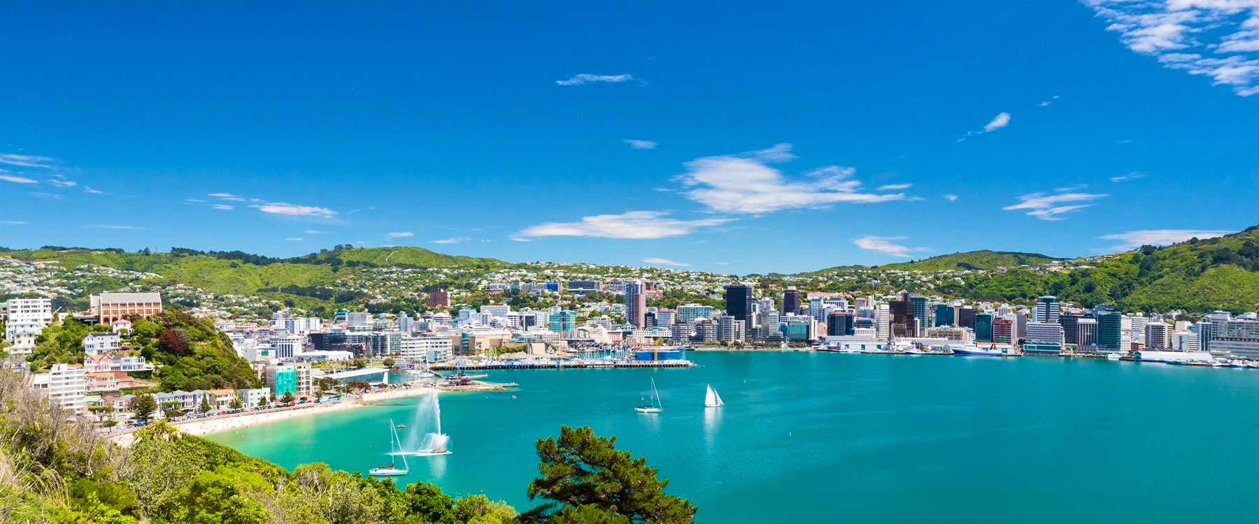 wellington