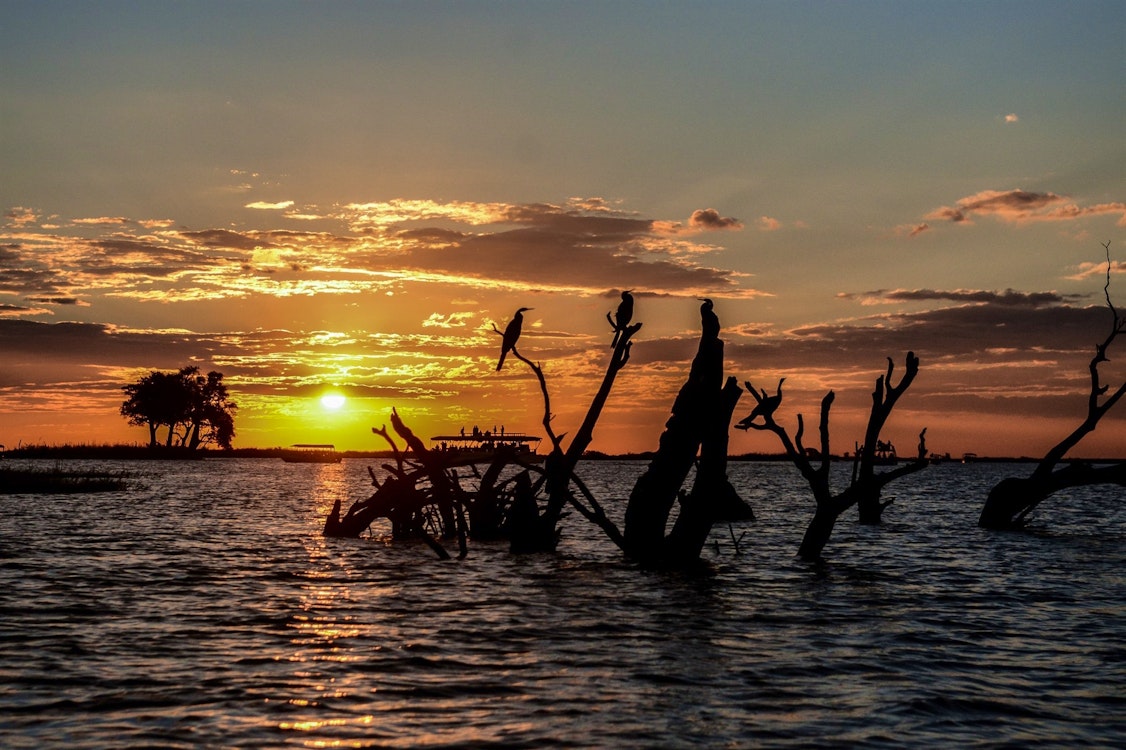 Sunset River Cruise on Chobe River