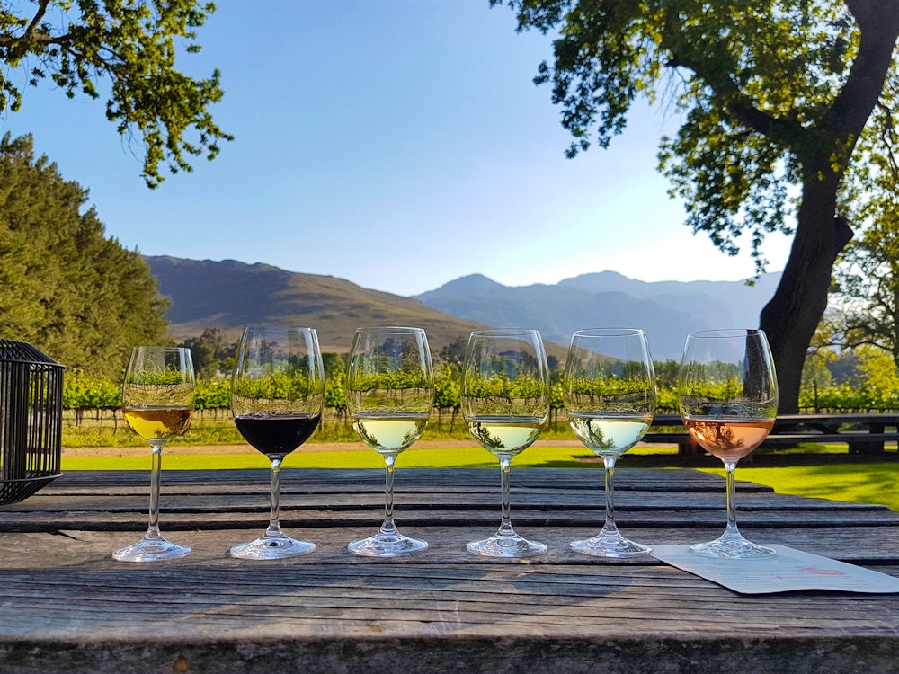 Cape Town Winelands