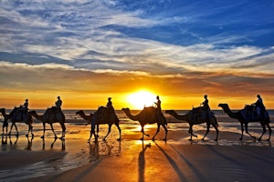 Kimberley Explorer - Broome Roundtrip  image 2