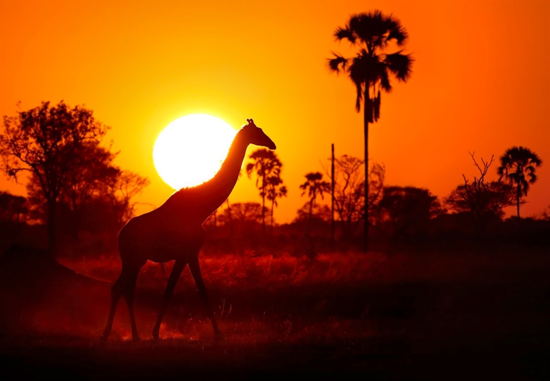 Hwange National Park at sunset