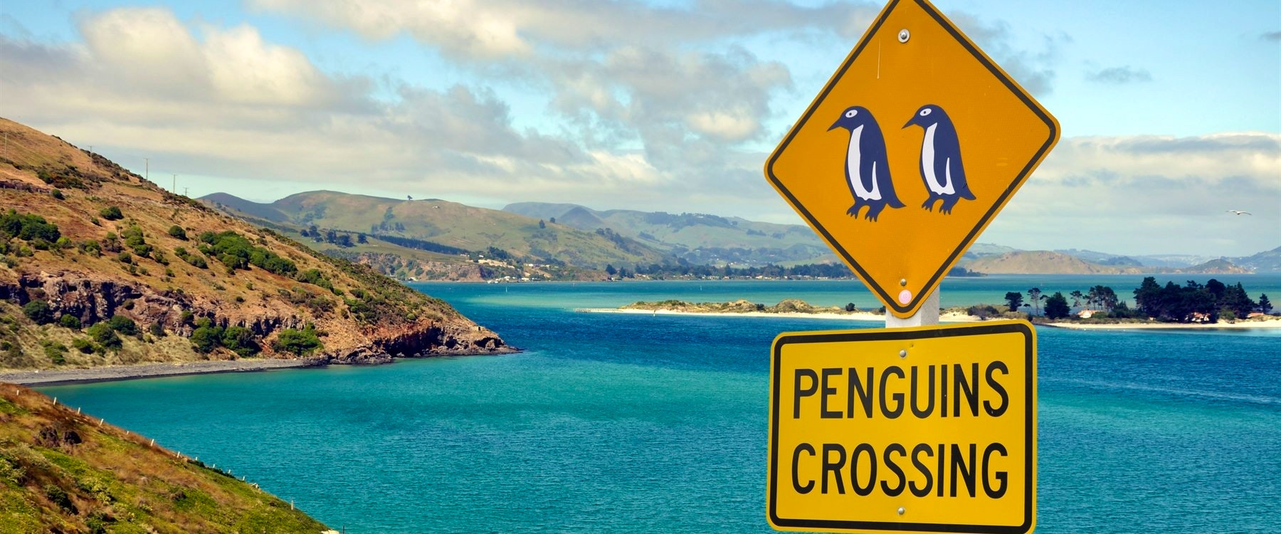 otago peninsula