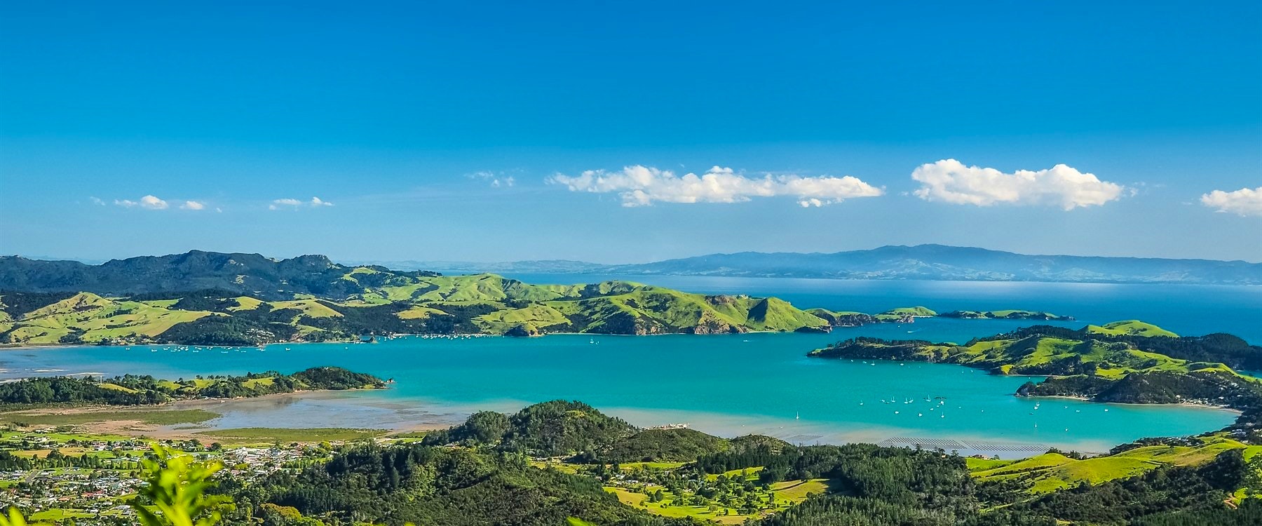 coromandel